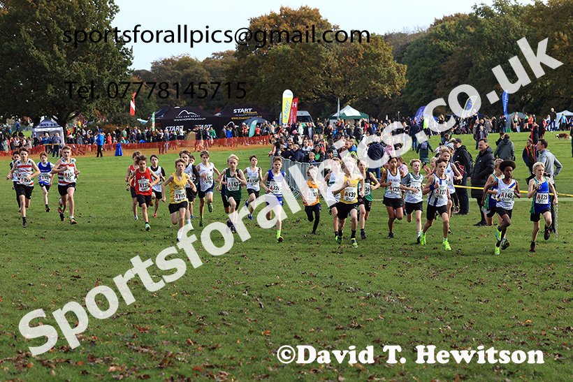 Boys under-13s, 2024 Northern Cross Country Relays, Graves Park, Sheffield.   Photo: David T. Hewitson/Sports for All Pics